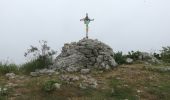 Excursión Senderismo Le Broc - Mouton d'Anou en boucle depuis le Broc - Photo 4