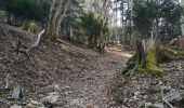Trail Walking Trévignin - la boucle du Mont Revard par le golet de la pierre et la crémaillère  - Photo 7