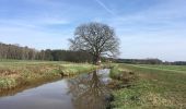 Tocht Te voet Rietschen - Rěčicy - Wanderweg Rietschener Teichgebiet - Photo 3