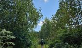 Tocht Stappen Luik - 🚂 à 🚂 Angleur/Esneux par le GR57 - Photo 13