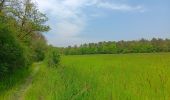 Trail Walking Durbuy - Petit-Han ... l Trail Walking Durbuy - Petit-Han ... l