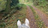 Tour Reiten Moyenmoutier - Chez Manu saint jean d’ormont - Photo 6