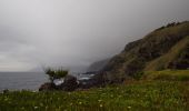 Percorso A piedi Calheta de Nesquim - Calheta do Nesquim - Photo 3