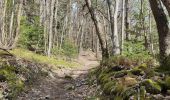 Trail Walking Pélussin - Randonnée du tacot à Pelussin  - Photo 16