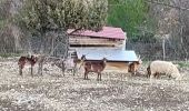 Tour Wandern Aigne - Aigne - Photo 5