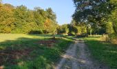 Tocht Stappen Gesves - Mozet - Châteaux de Faulx-les-Tombes et d'Arville - Photo 4