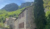 Trail Walking Pied-de-Borne - Le tour du chassezac - Photo 8