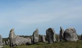 Excursión Bici de montaña La Trinité-sur-Mer - Trinité Sur Mer et la presqu'ile de Quiberon - Photo 3