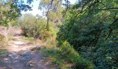 Trail Walking Laroque-des-Albères - laroque . four solaire . sorede . laroque - Photo 15