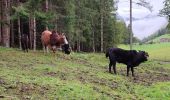 Percorso Marcia Gemeinde Scheffau am Wilden Kaiser - Hintersteinersee - Photo 13