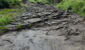 Tour Wandern Jalhay - moulin Thorez . pont du centenaire / aller via la hoêgne  / retour via ravel Sart station  - Photo 6