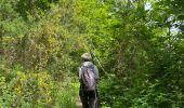 Trail Walking Aarschot - Gelrode 2  - Photo 3