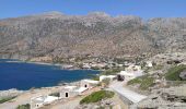 Tocht Stappen Κοινότητα Σταβιῶν - De Thalori à la plage - Photo 1