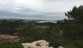 Randonnée Marche Narbonne - La Clape - Trou de la Crouzade - Photo 6