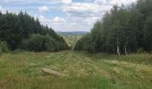 Trail Walking La Roche-en-Ardenne - rando warempage 13/07/2020 - Photo 3