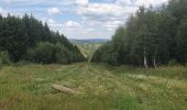 Tocht Stappen La Roche-en-Ardenne - rando warempage 13/07/2020 - Photo 3