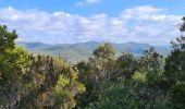 Tour Wandern Pierrefeu-du-Var - Pierrefeu du var - les Baisses - Photo 16