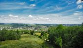 Tour Mountainbike Wirten - Chemin transfrontalier des mines de fer  -  Balade_VTT_51kms - Photo 9