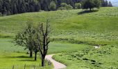 Percorso A piedi Würenlos - Würenlos - Altberg - Photo 2