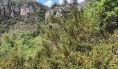 Tour Wandern Mostuéjouls - Liaucous-village troglodyte-18-05-22 - Photo 9