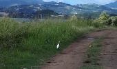 Tocht Stappen La Trinité - Spourtoun - Photo 2