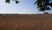 Trail Walking Saint-M'Hervé - GR_37_AJ_24_St-M'Herve_Vitre_20210718 - Photo 3