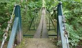 Percorso Marcia Sélestat - Sélestat le Grand Ried - balade dans la forêt de l'II - passerelles - Photo 8