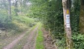 Percorso Marcia Kiischpelt - Eislek trail et 01 Kautenbach-Clervaux 25km - Photo 2