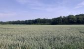 Trail Walking Mettet - Pontaury Bambois - Photo 5