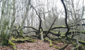 Tour Wandern Hohenfels - la plate tournée - Photo 3