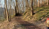 Trail Walking Trooz - la fenderie  - Photo 2