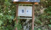 Trail Walking Parc Hosingen - Escapardenne Lee Trail: Hoscheid - Kautenbach - Photo 6