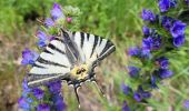 Percorso Marcia Besse-et-Saint-Anastaise - 270522 Besse / Chambon - Photo 8