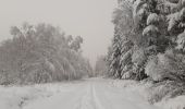 Tocht Stappen Theux - Vert Buisson . Bronromme  - Photo 8