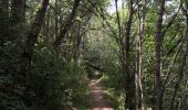 Excursión Senderismo Puy-Saint-Vincent - Le Villaret La combe noire - Photo 15