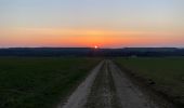 Trail Running Ligny-le-Châtel - Circuit autour de Ligny le chatel - Photo 1