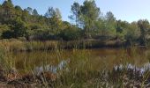 Excursión Senderismo Bagnols-en-Forêt - BAGNOLS EN FORÊT - LES GORGES DU BLAVET - Photo 18