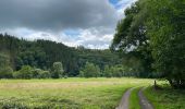 Tour Wandern Clerf - Hendensche  - Photo 4