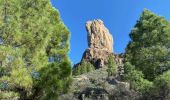 Randonnée Marche Tejeda - Roque Nublo (Gran Canaria) - Photo 4