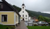 Tocht Te voet Birkfeld - Wanderweg 64 - Photo 5