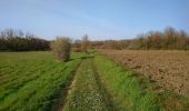 Tour Wandern Huismes - Huismes - PRs avec variantes - 23.7km 295m 4h55 (25mn) - 2021 03 24 - Photo 6