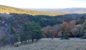 Tour Wandern Aurel - Font de Margot / Jas Forest - Photo 14