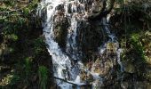 Trail Walking La Roche-en-Ardenne - La Roche n 6 - Photo 4