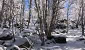 Excursión Raquetas de nieve La Llagonne - 20230224 pla avellans raquettes  - Photo 4