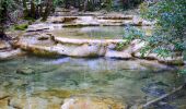 Trail Walking Plan-d'Aups-Sainte-Baume - SityTrail - La source de L' huveaune - Photo 19