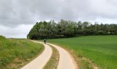 Tocht Te voet Genepiën - #200523 - Loncée, Vallée de la Haute Dyle et Houtain*** - Photo 13