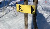 Tour Schneeschuhwandern Passy - Boucle chalets d’ Ayère par le lac vert - Photo 1