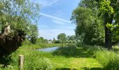 Randonnée Marche Dilbeek - Un petit tour vers le moulin - Photo 1