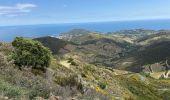 Trail  Collioure - Vignes et montagne Collioure  - Photo 6