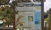 Trail Walking Biganos - Le port de Biganos - Photo 2